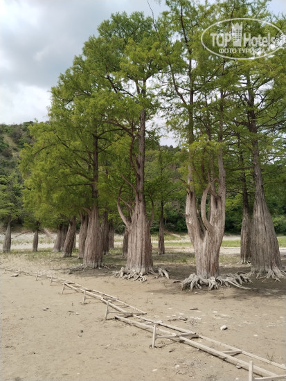 New photos from tourists Гриджио 3*