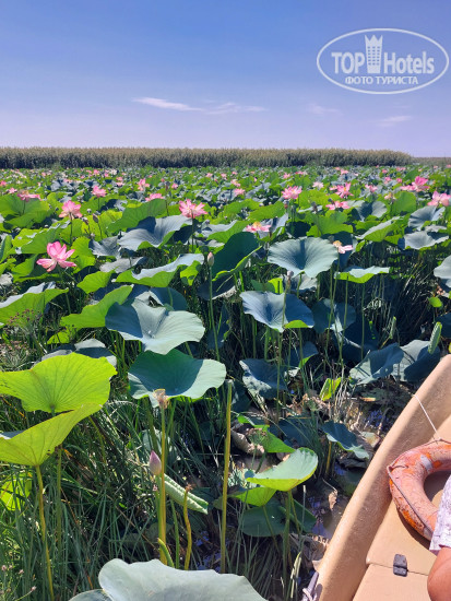 Hotel photo Fish-Club 