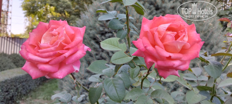 New photos from tourists Sultan Bishkek 3*