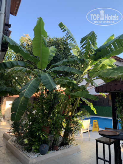 Новые добавленные фото туристов Castle Old Town 