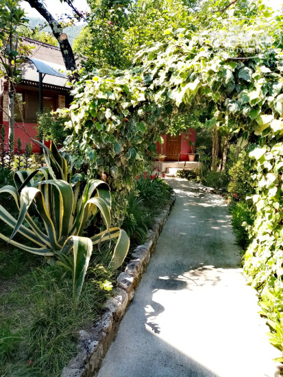 Hotel photo Риана 