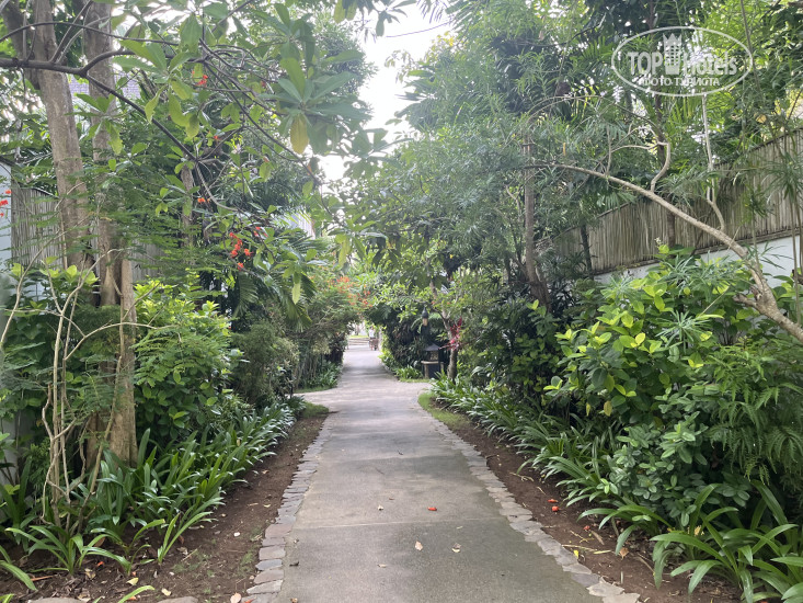 New photos from tourists Sudamala Resort, Komodo, Labuan Bajo 5*