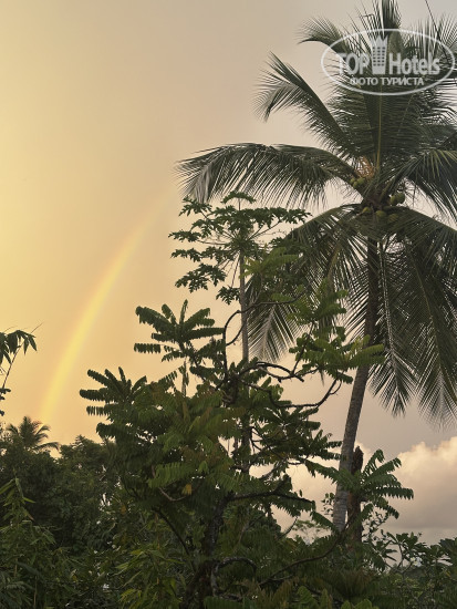 Hotel photo Monkey House 