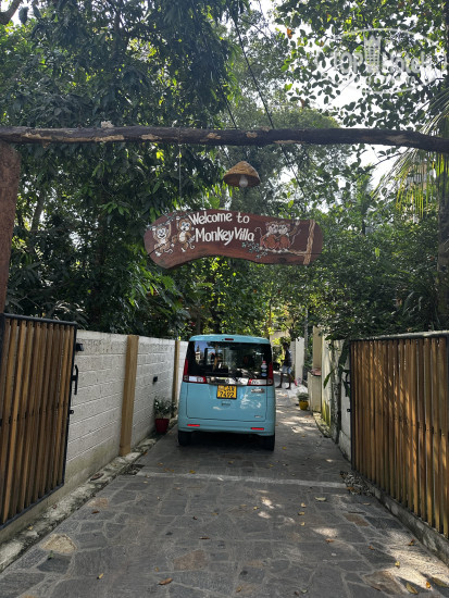 New photos from tourists Monkey House 