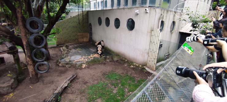 Hotel photo Mcsrh Hotel (Chongqing Jiefangbei Chaotianmen) 4*