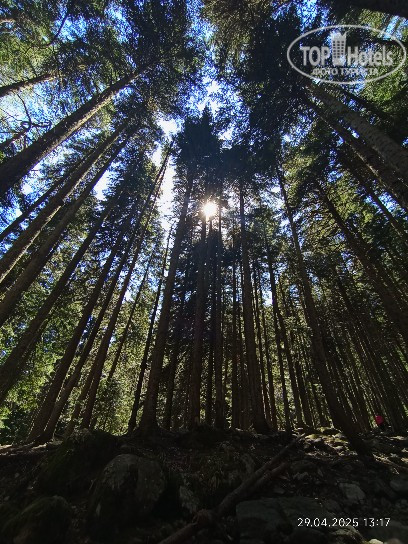 Новые добавленные фото туристов Парк-Отель Адреналин 4*