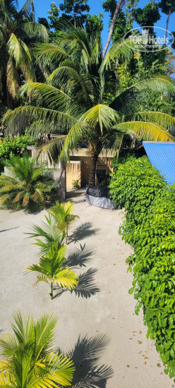 New photos from tourists Relax Lodge 3*