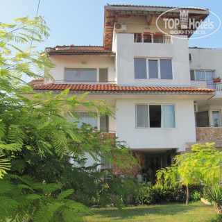 Photos Сани Вики