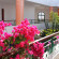 Fantazia Resort Marsa Alam 5*