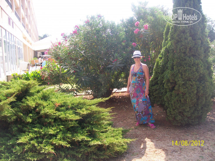 Новые добавленные фото туристов Medulin 4*