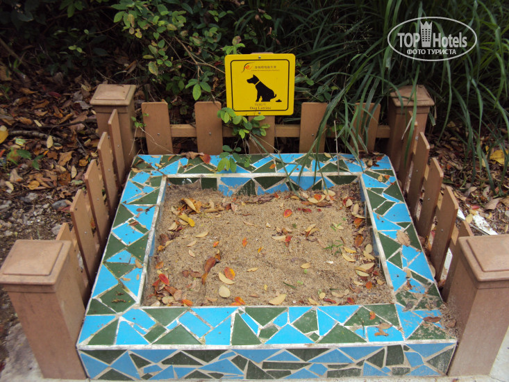 New photos from tourists Concerto Inn Lamma 3*