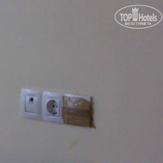 Photos Koral Budgaka