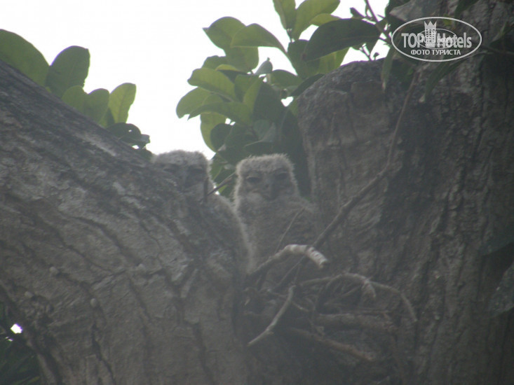 New photos from tourists Hato Cedral