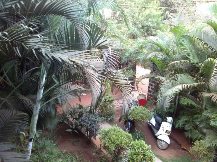 New photos from tourists Seabreeze Sinquerim