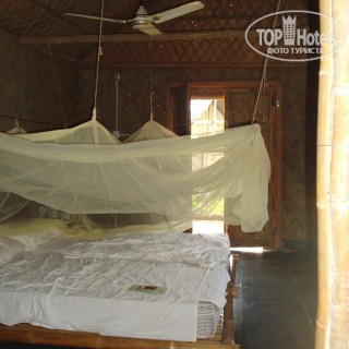 Photos Bamboo House Goa