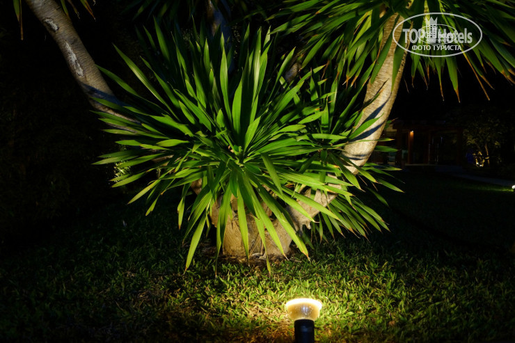 New photos from tourists Synergy Samui 4*