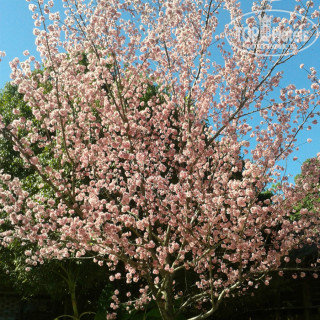 Фото Home Inn Kunming Qingnian Road