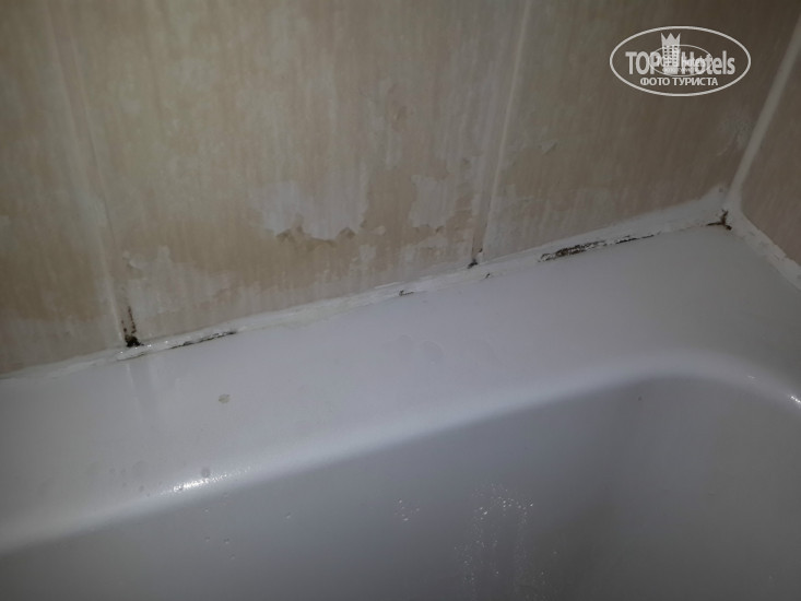 Photos Welcome Hotel Apartment 2