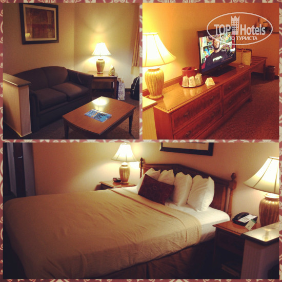New photos from tourists Best Western Plus Anaheim Orange County 3*
